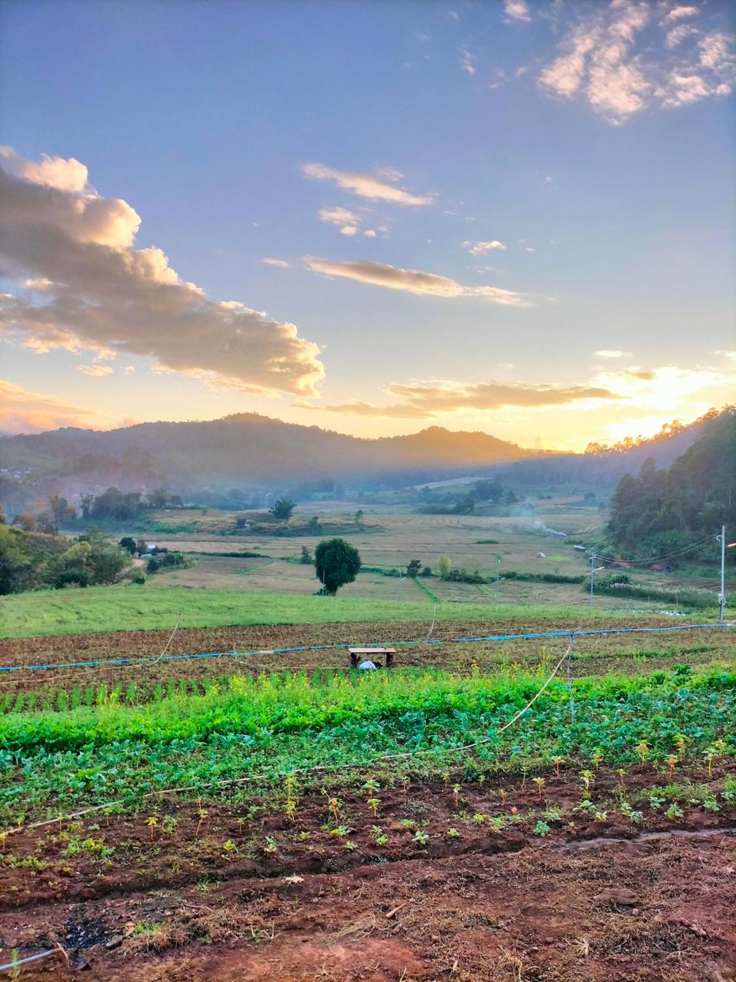 ホテル สวนไร่รุ่งอรุณ Suan Rai Rungarun Ban Na Pa Paek エクステリア 写真